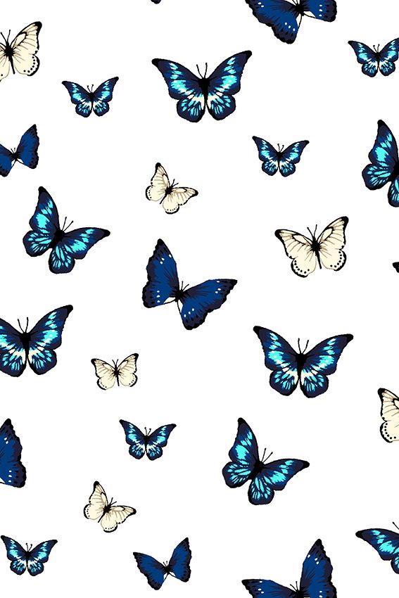 Featured image of post Cute Vsco Wallpapers Butterflies